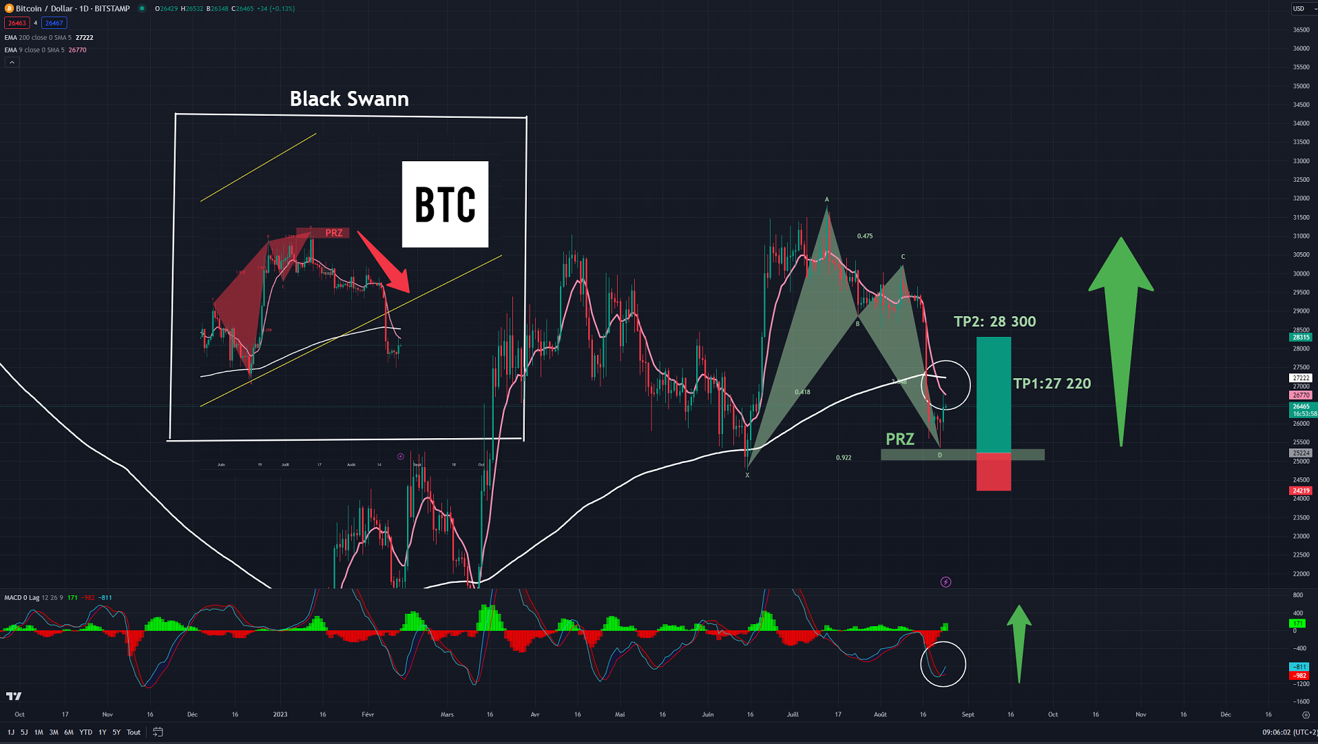 20230824 BITCOIN BLACK SWANN